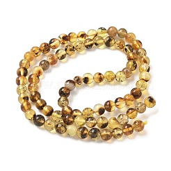 Янтарные шарики нити&nbsp;G-L095-B01-5mm-03