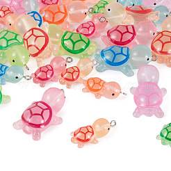 48 шт. 12-х стилевые подвески из светящейся смолы&nbsp;JACR-TA0001-02