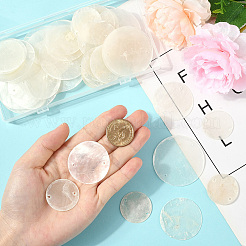 48 шт. 3 стиля Capiz shell звенья/соединители&nbsp;SHEL-SC0001-73