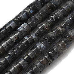 Натуральные нити бус из ларвикита G-Z110-A05-2x4mm