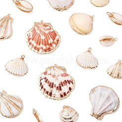 20 шт. 9 стиля подвески из натуральных ракушек с гальваническим покрытием SSHEL-FS0001-12
