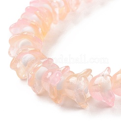 Прозрачные стеклянные бусины&nbsp;LAMP-H061-01D-05