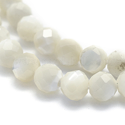 Натуральные белые бусины из ракушек G-O171-09-6mm