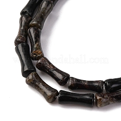 Природного биотита нитей бисера G-L624-G09-12x5mm