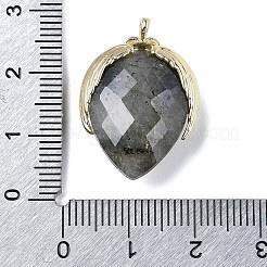 Природные подвески лабрадорита&nbsp;G-U019-01G-02
