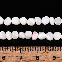 Нити бусин из натуральных трохоидных/трохус ракушек SSHEL-N040-06