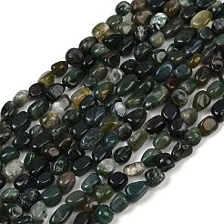 Природные моховой агат бисер нитей&nbsp;LS-G-Q060-D10