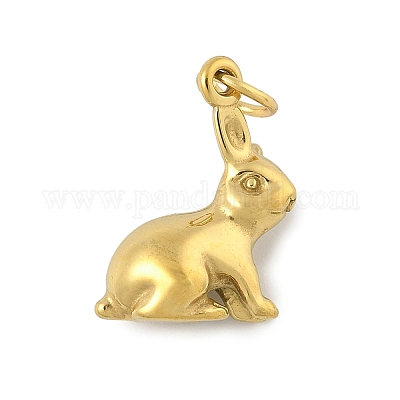 Ионное покрытие (ip) подвески из нержавеющей стали 304 STAS-P391-01J-G-1