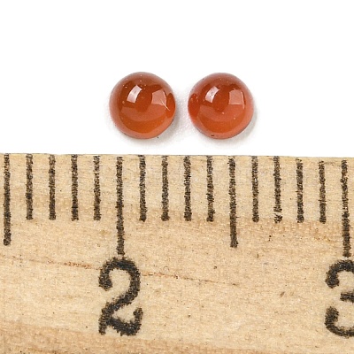 Природные сердолик кабошоны G-Q173-01A-14-1