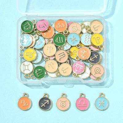 48 шт. 12-цветные подвески из сплава и эмали ENAM-FS0003-98-1