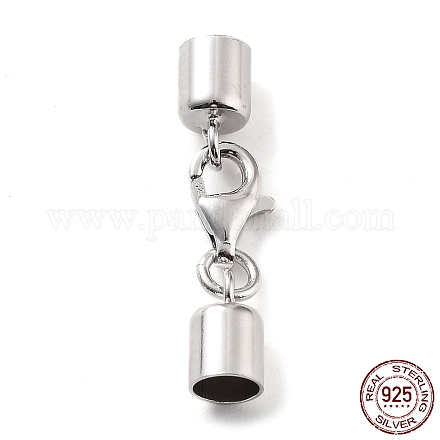 Антикоррозийные застежки-клешни из стерлингового серебра 925 шт. STER-P055-03G-P-1