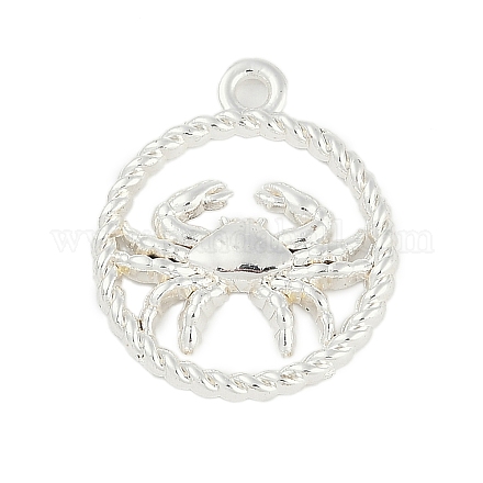 Подвески из сплава «двенадцать созвездий» PALLOY-Q006-01A-S-1