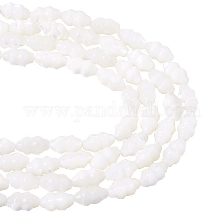 2 нить бусин из натуральных ракушек-трохусов SHEL-TA0001-20-1