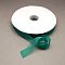 Nylon Organza Ribbon, Teal, 3/4 inch(19~20mm), 200yards/roll(182.88m/roll)
