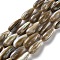 Natural Freshwater Shell Beads Strands, Teardrop, 16~16.5x6~7.5mm, Hole: 0.9mm, about 24pcs/strand, 15.12''(38.4cm)