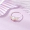 Round Natural Sea Shell Finger Rings, Copper Wire Wrapped Rings, Silver, 7mm, Inner Diameter: 18mm