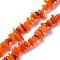 Natural Freshwater Shell Beads Strands, Chip, Dyed, Orange, 6~16x4~8x1~7mm, Hole: 1mm, about 97~157pcs/strand, 15.75 inch(40cm)