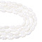 2 Strands Natural Trochus Shell Beads Strands, Gourd, Floral White, 9x5x5mm, Hole: 1mm, about 42pcs/strand, 14.61''(37.1cm)