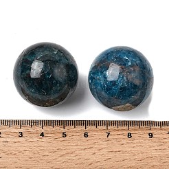 Натуральные апатитовые сферические бусины без отверстий&nbsp;G-I367-05-12
