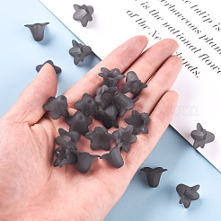 Прозрачные акриловые бусины&nbsp;PLF018-17