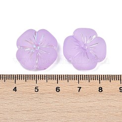 Матовые прозрачные акриловые бусины X1-OACR-P029-19B-04