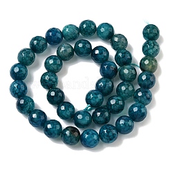 Нити бусин из натурального агата с прожилками дракона (окрашенные и нагретые)&nbsp;G-M437-C01-01R-01