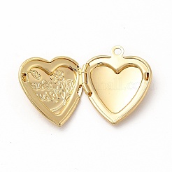 Подвески латуни медальон ZIRC-M120-01G