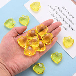 Прозрачные акриловые подвески TACR-T024-03B-916