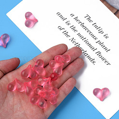 Прозрачные акриловые бусины&nbsp;MACR-S373-70-B04