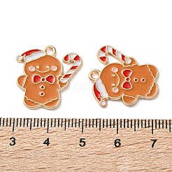 Подвески из эмали и сплава&nbsp;X-ENAM-I061-01KCG-11