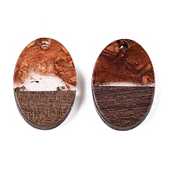 Подвески из прозрачной смолы и ореха&nbsp;RESI-T057-04C