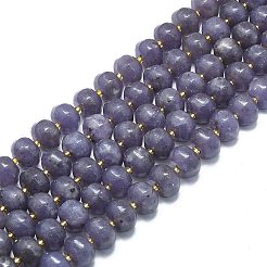 Натуральный лепидолит / пурпурный слюдяный камень бисер пряди G-P573-B05-01