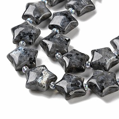 Натуральные нити бус из ларвикита G-NH0005-016