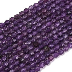 Натуральный лепидолит / пурпурный слюдяный камень бисер пряди G-A260-A04-01