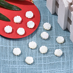 Нити бусин из натуральных ракушек SSHEL-CJ0001-09