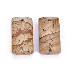 Естественного изображения яшмы подвески&nbsp;LS-G-F614-02