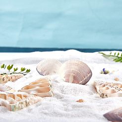 Бусины из раковин моллюсков SSHEL-NB0001-11