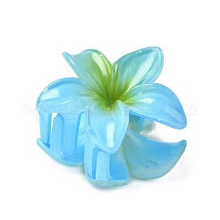 Пластиковые зажимы когтя волос&nbsp;PW-WG07B2B-05