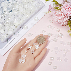 600 шт. 6-х стильные колпачки для бусин из АБС-пластика с имитацией жемчуга&nbsp;OACR-SC0001-30