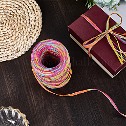 6 цвет шнуров из рафиевой бумаги OCOR-WH0063-110A