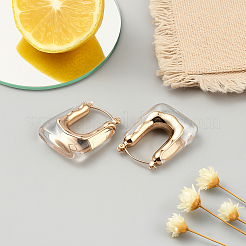 2 пара двухцветных серег-колец из сплава смолы&nbsp;EJEW-GO0002-10