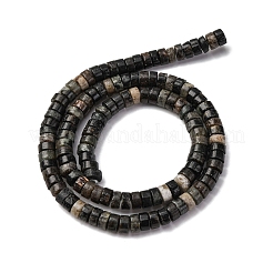 Природного биотита нитей бисера G-L624-I12-3x6mm