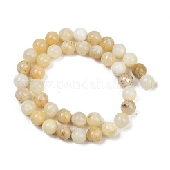 Природные желтые опал бусины пряди G-U026-A05-10mm