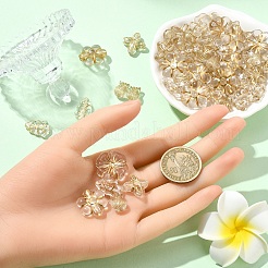 60 г 6 стиля прозрачные акриловые бусины с металлическим плетением&nbsp;MACR-YW0003-43