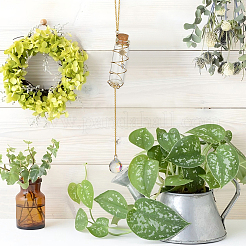 Стеклянная бутылка для растений вешалка HJEW-DR00178