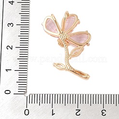 Латунь стекло кулоны KK-B100-041G-06