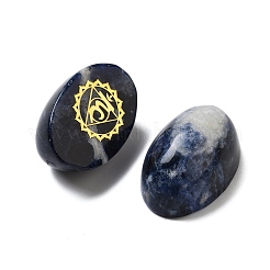 Овальные витринные украшения из натурального содалита&nbsp;G-F774-01D
