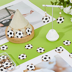 40 шт. Подвески из сплава с эмалью&nbsp;ENAM-DC0002-16