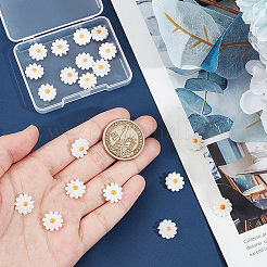 20шт натуральные пресноводные бусины из ракушек SHEL-NB0001-65B