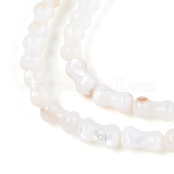 Нити бусин из натуральных пресноводных ракушек SHEL-N038-01
